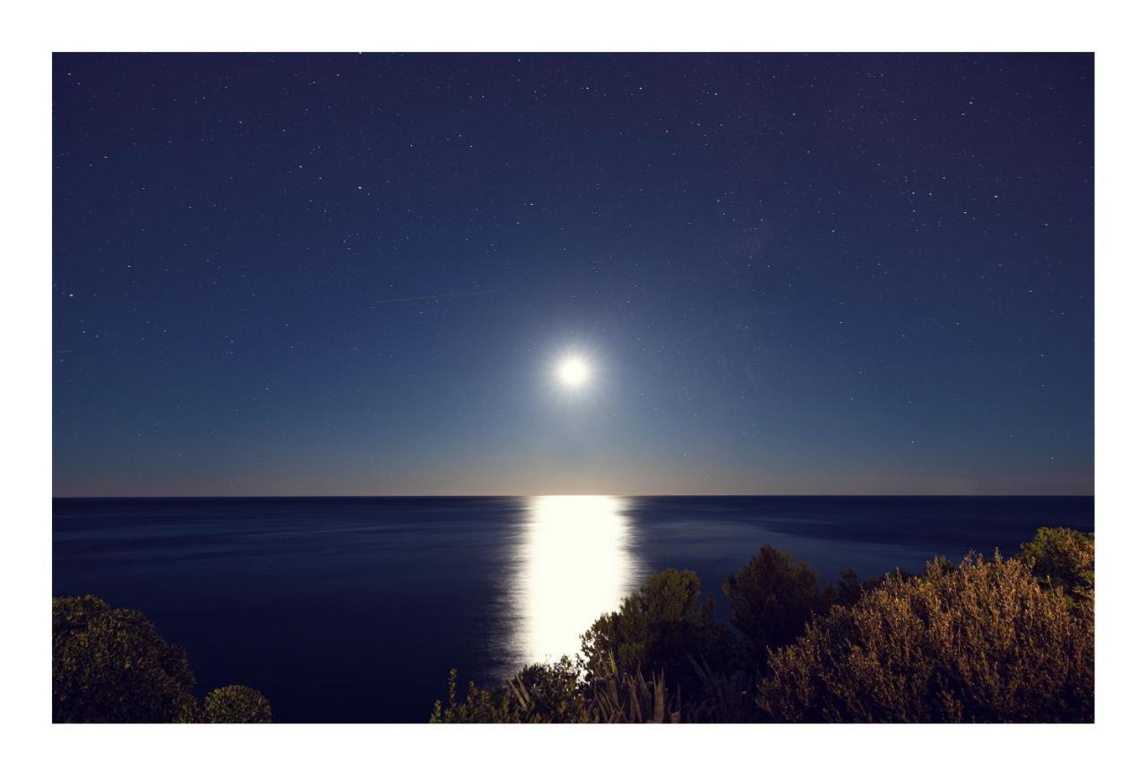 Condo With A Breathtaking View Dubrovnik Buitenkant foto